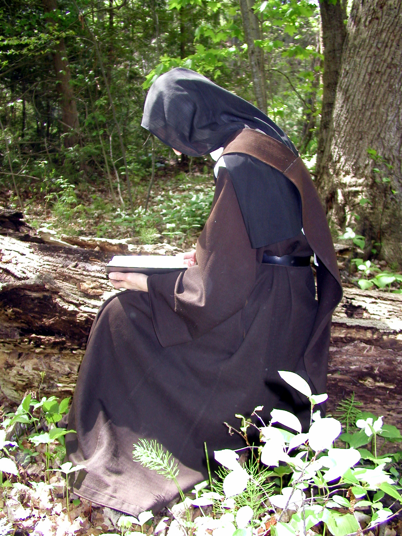 nun-in-woods.jpg